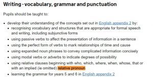 relative pronoun national curriculum