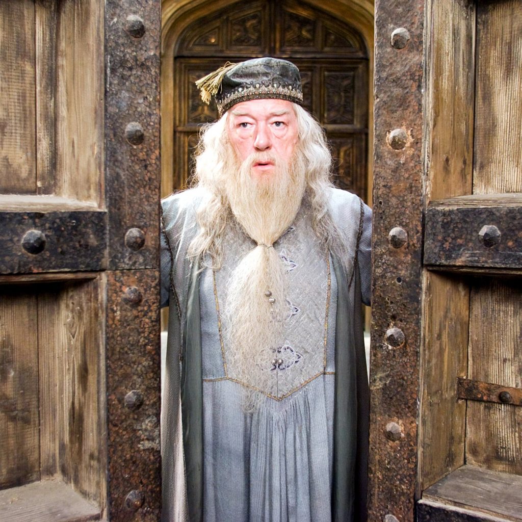 world book day
